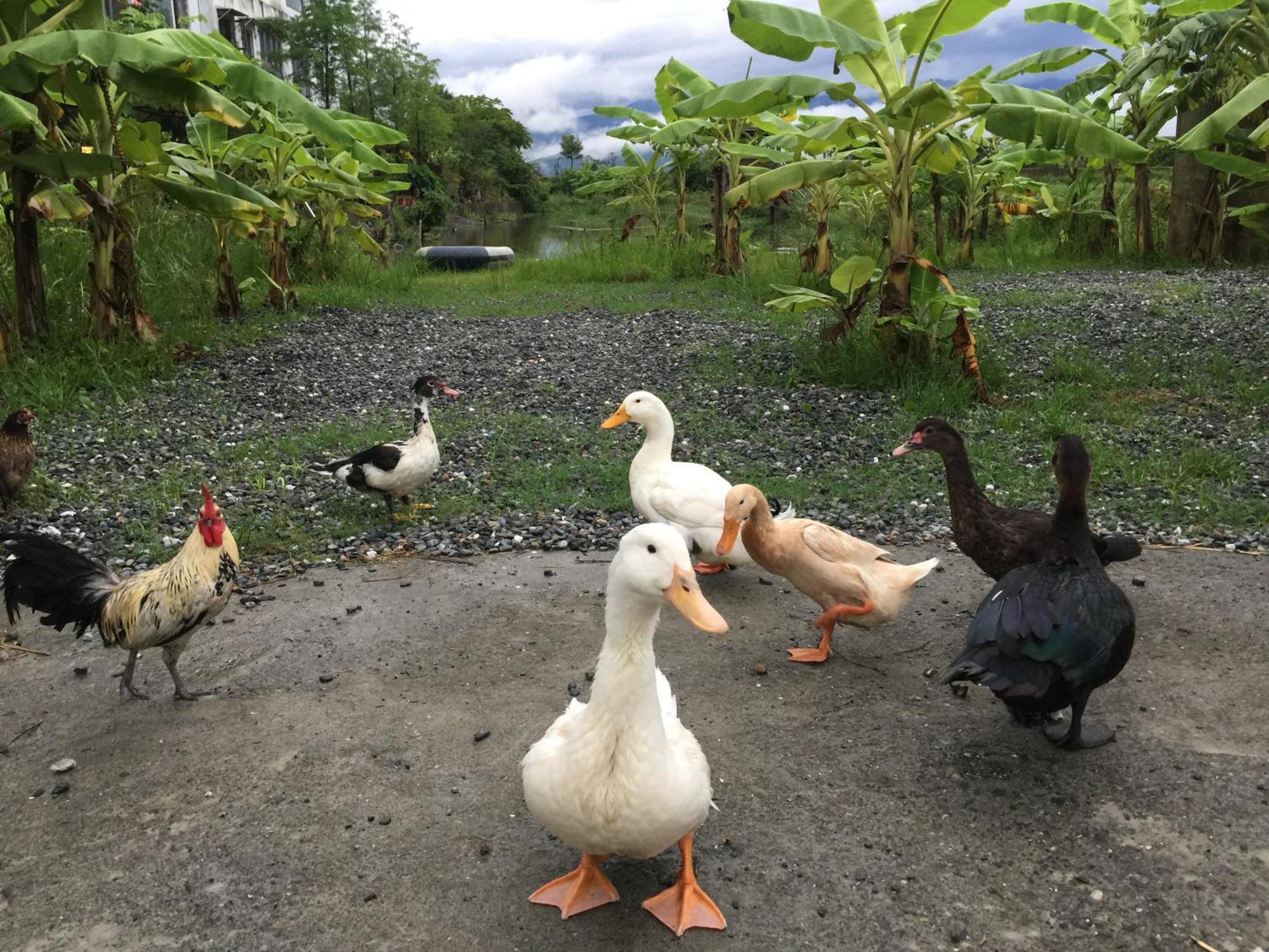 Beautiful Yilan Resort Dongshan  Luaran gambar
