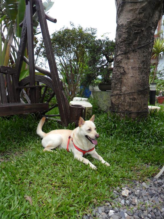 Beautiful Yilan Resort Dongshan  Luaran gambar