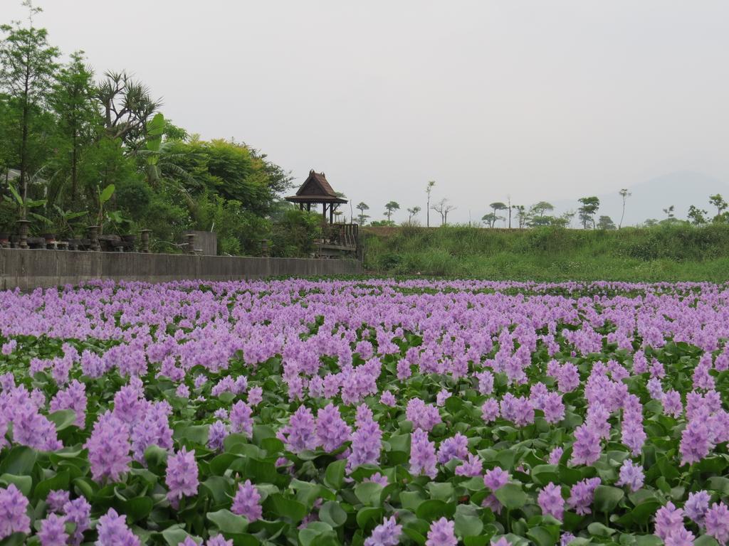 Beautiful Yilan Resort Dongshan  Luaran gambar
