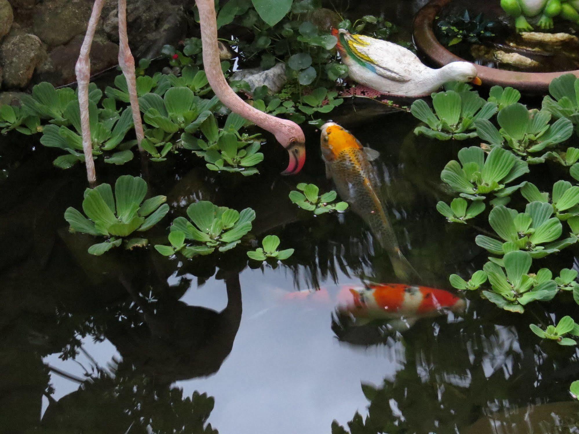 Beautiful Yilan Resort Dongshan  Luaran gambar
